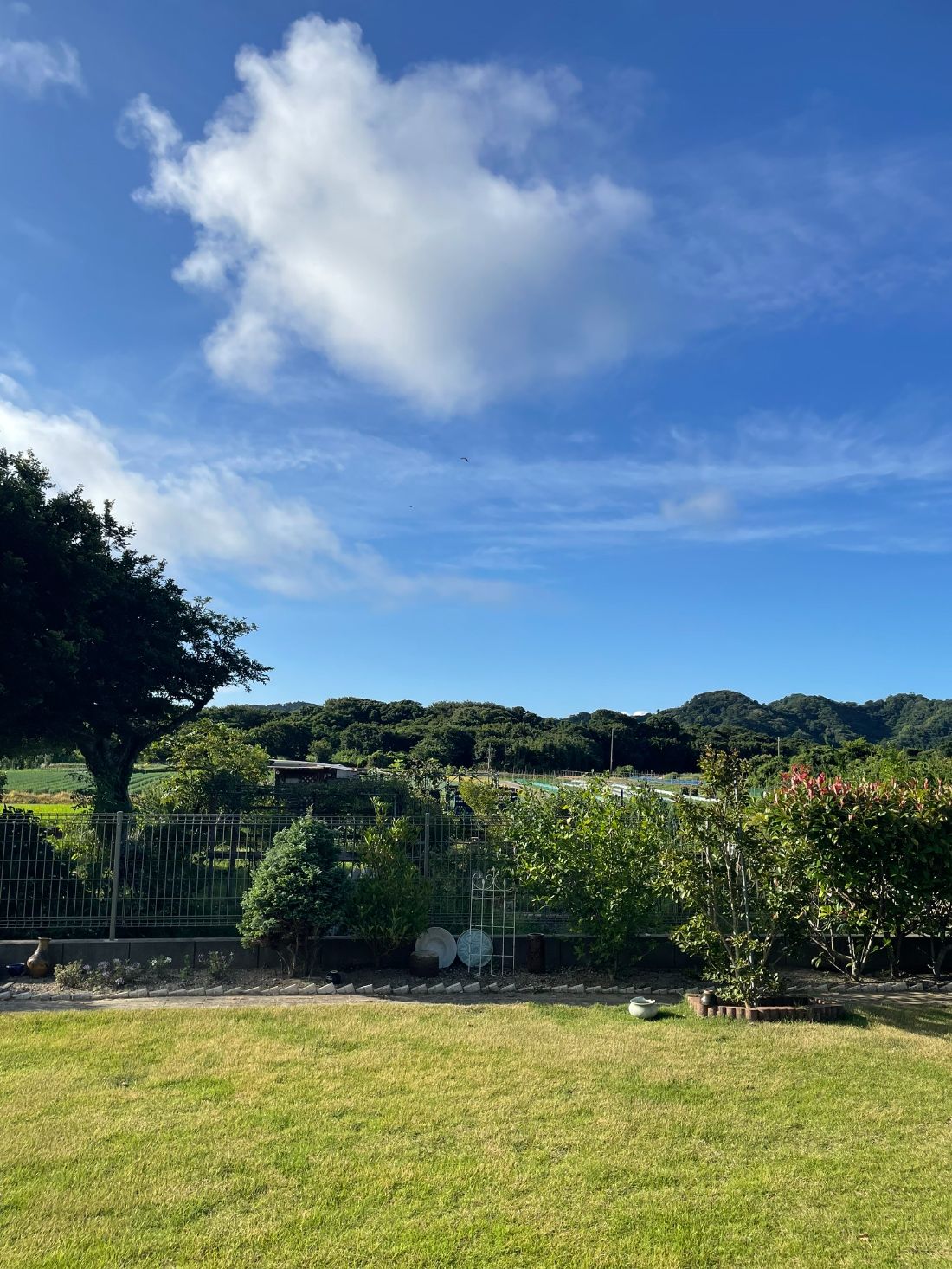 工房から見える景色